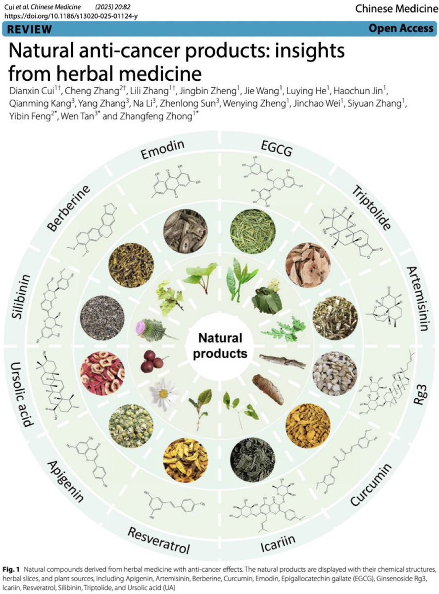 tatiann69922625's tweet image. 🚨DERNIÈRE MINUTE : Plus de 1 100 études révèlent 12 composés naturels ayant de puissants effets anticancéreux sur toutes les principales voies tumorales

link.springer.com/article/10.118…

Une analyse historique identifie 12 composés naturels ayant une large activité anticancéreuse,…