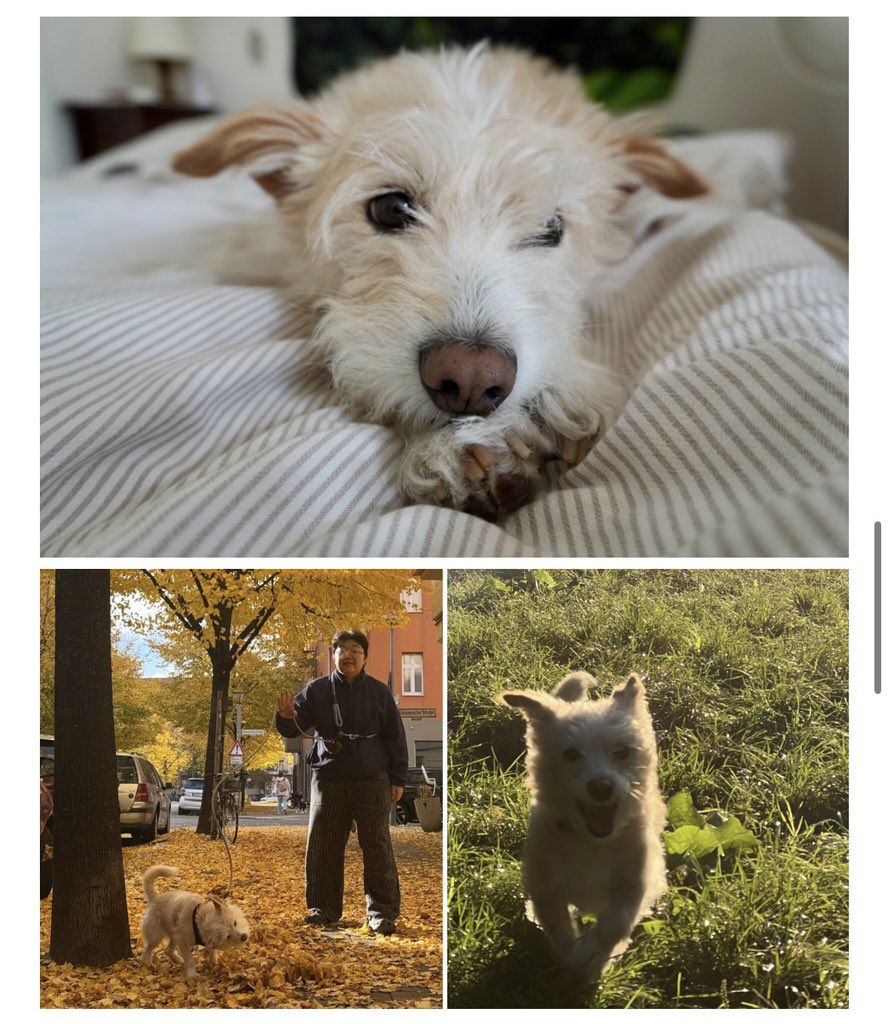 Yes24 ‘당신의 작업실’에 제 작업실을 소개했습니다. 질문에서 애정이 느껴져서 감사한 마음으로 답변했어요ㅠㅠ 고맙습니다! 순순이 사진도 많이 나와요!

ch.yes24.com/article/detail…