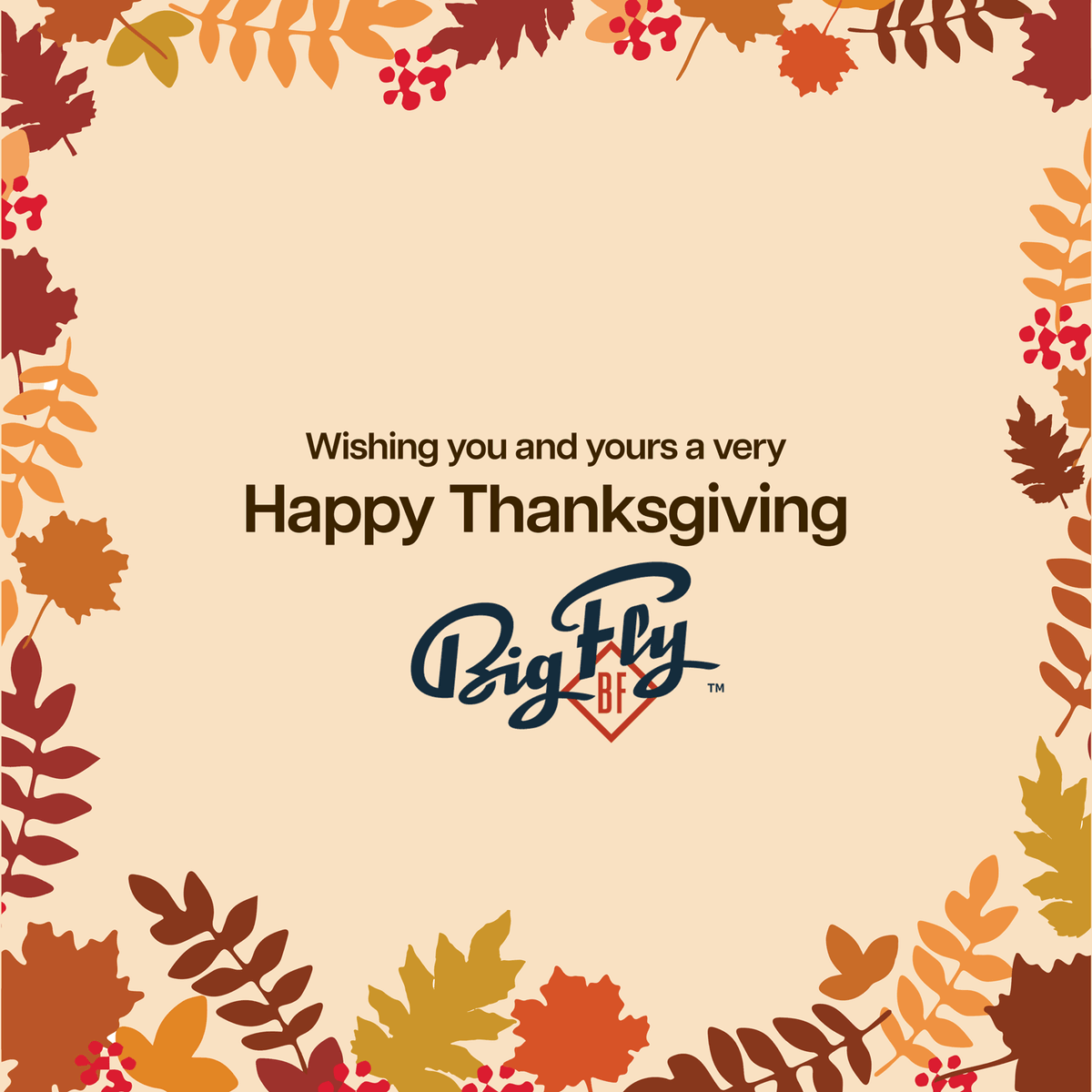 Big Fly®️ tweet media