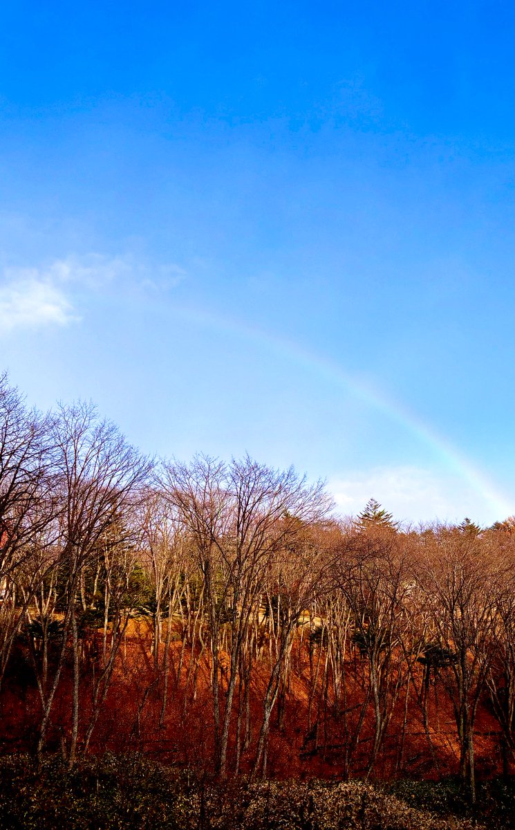希少♡草津♡ゆもみちゃん＊001＊ G64zPBmbkAcXZzN.jpg?format=jpg