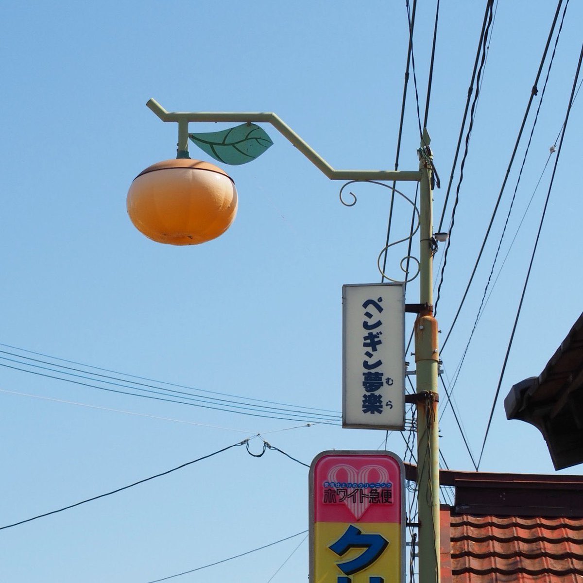 ໊ (@faewings) on Twitter photo 