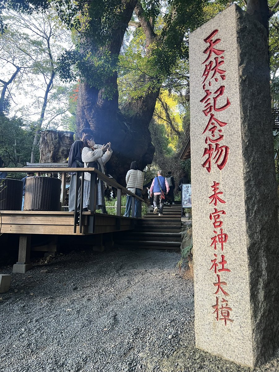Photo_kouki's tweet photo. 静岡ぶらり　完 https://t.co/2b4cwGlfOV