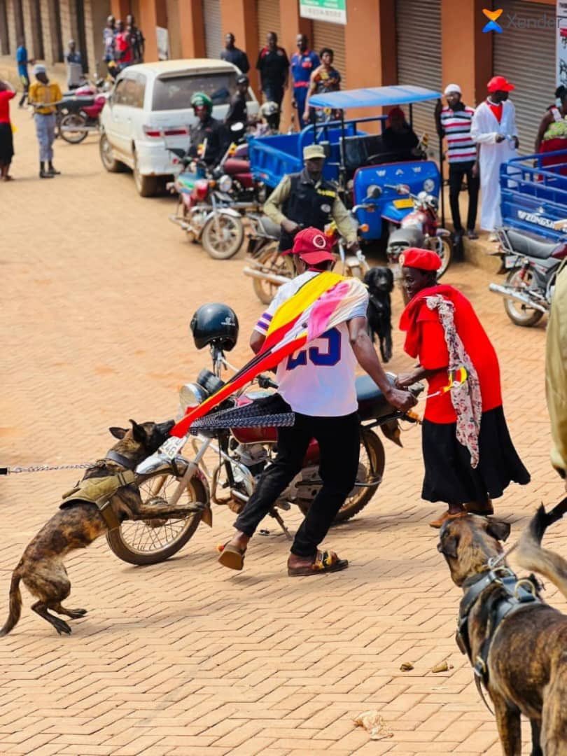 HEBobiwine's tweet photo. We appreciate the Uganda Law Society for joining other citizens in condemning the barbaric, criminal use of police dogs to attack and harm our supporters at our rallies! The regime is deploying these colonial, apartheid tactics because it is in great fear of the people. WE SHALL OVERCOME! 
#FreeUgandaNow