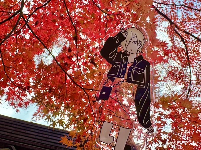 有馬温泉の紅葉が綺麗すぎる… #えいがさき神戸ロケ地にいってきた