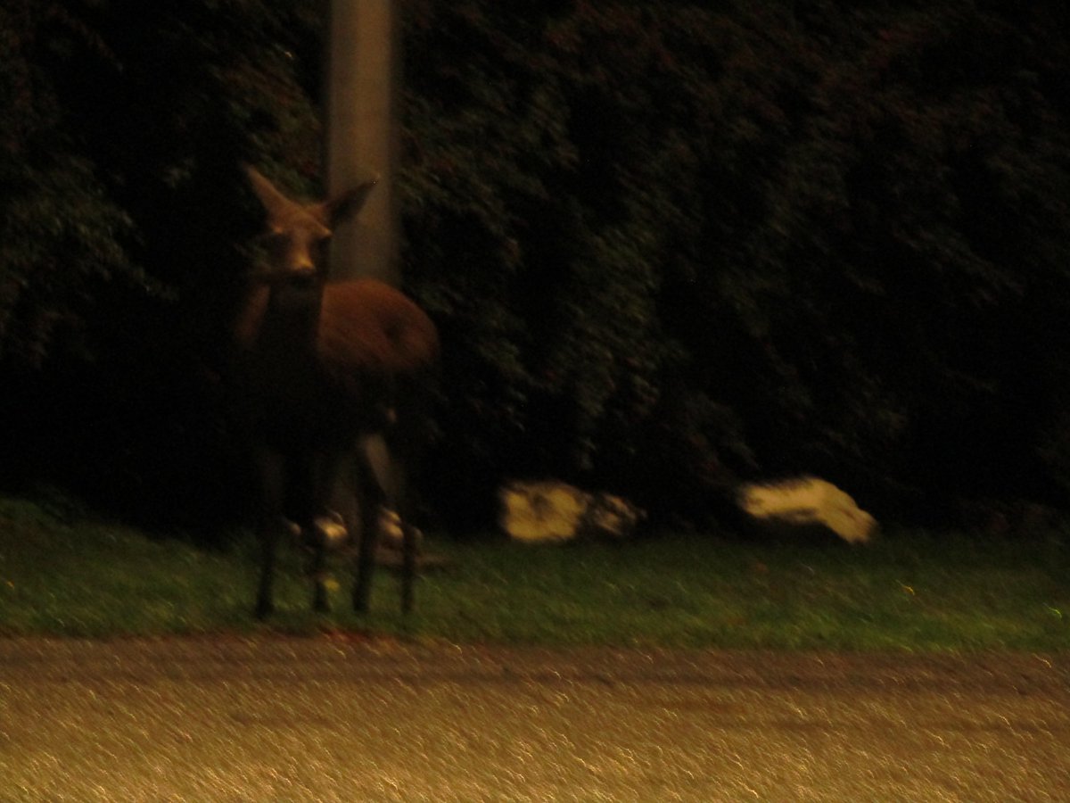 routinecolours's tweet image. 