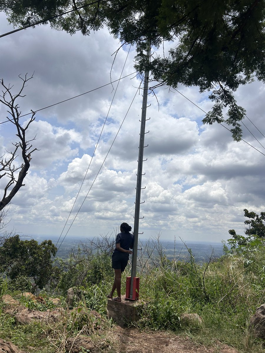 NyaLacekocot👑 tweet media