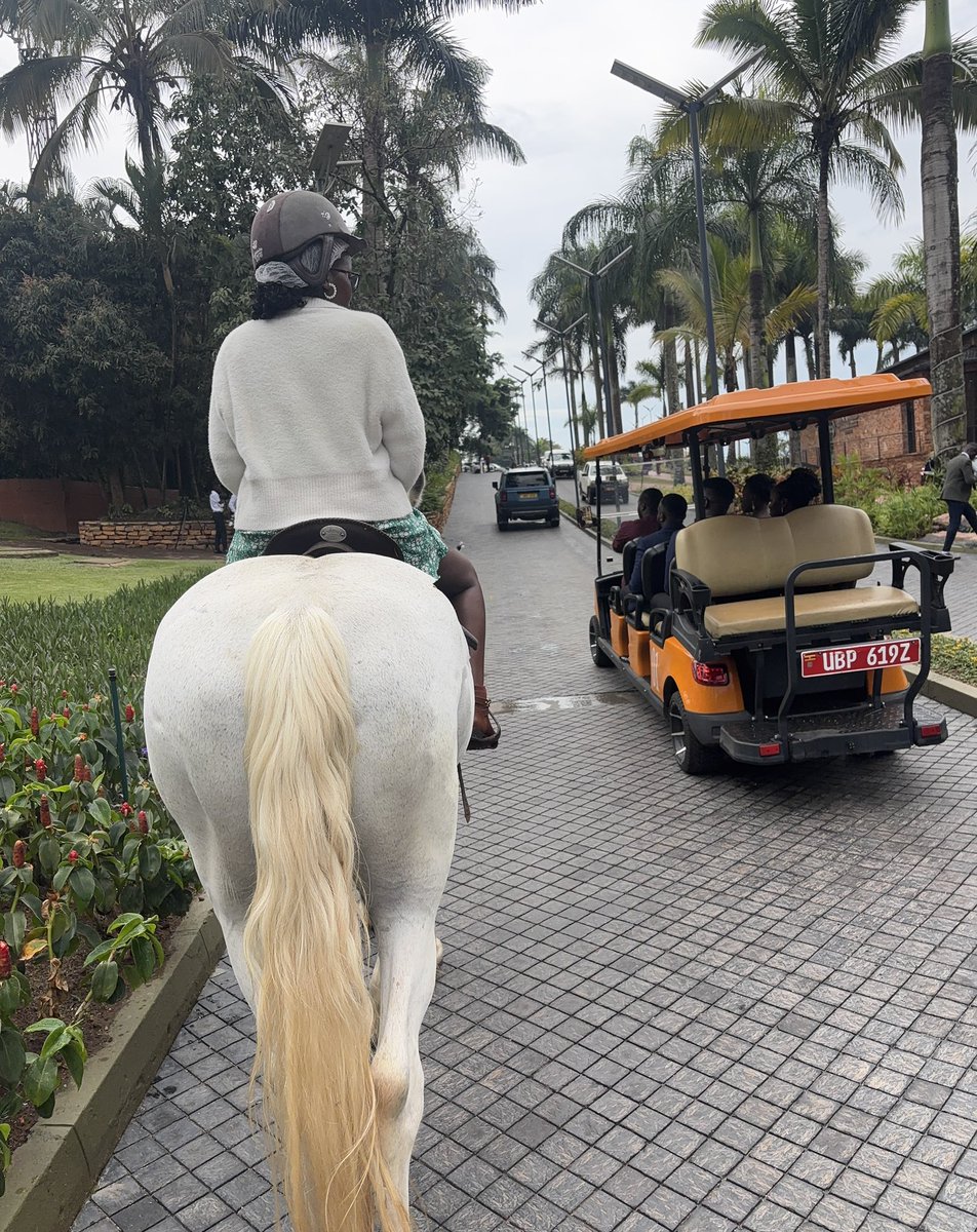 NyaLacekocot👑 tweet media