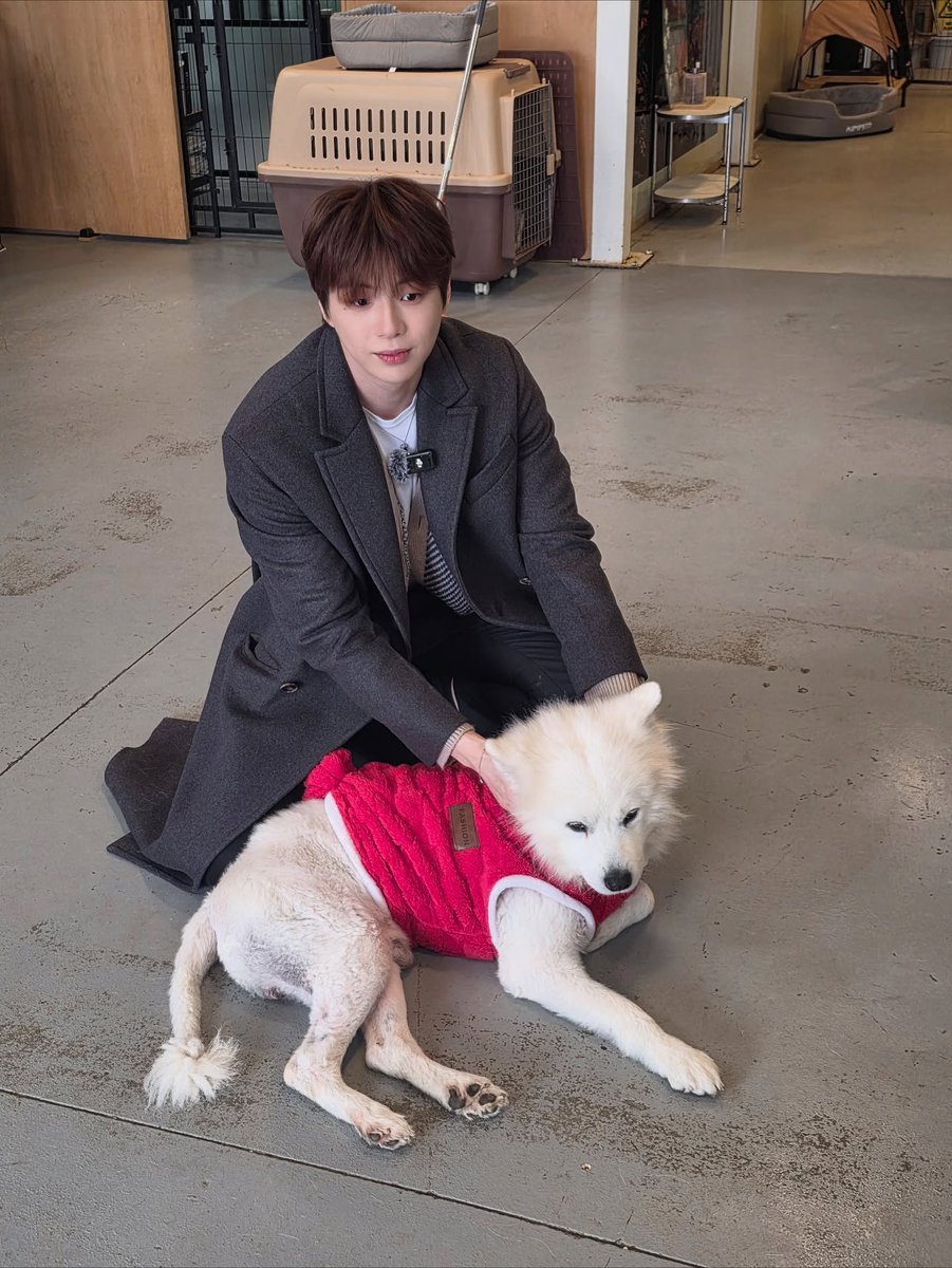 KDanigall's tweet image. 251126 녤스타그램

#pethroom

🔗 instagram.com/p/DRghsclCQz1

#강다니엘 #KANGDANIEL