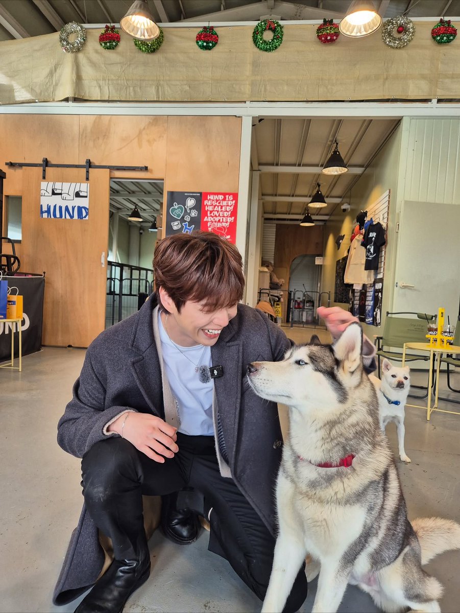 KDanigall's tweet image. 251126 녤스타그램

#pethroom

🔗 instagram.com/p/DRghsclCQz1

#강다니엘 #KANGDANIEL