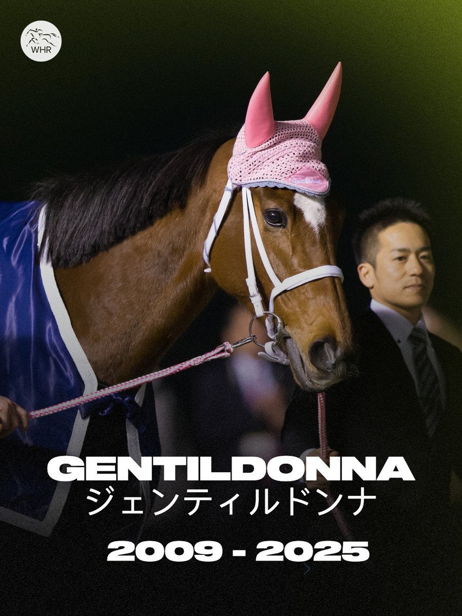 競馬非売品 ジェンティルドンナ 貴重 😭this is devastating