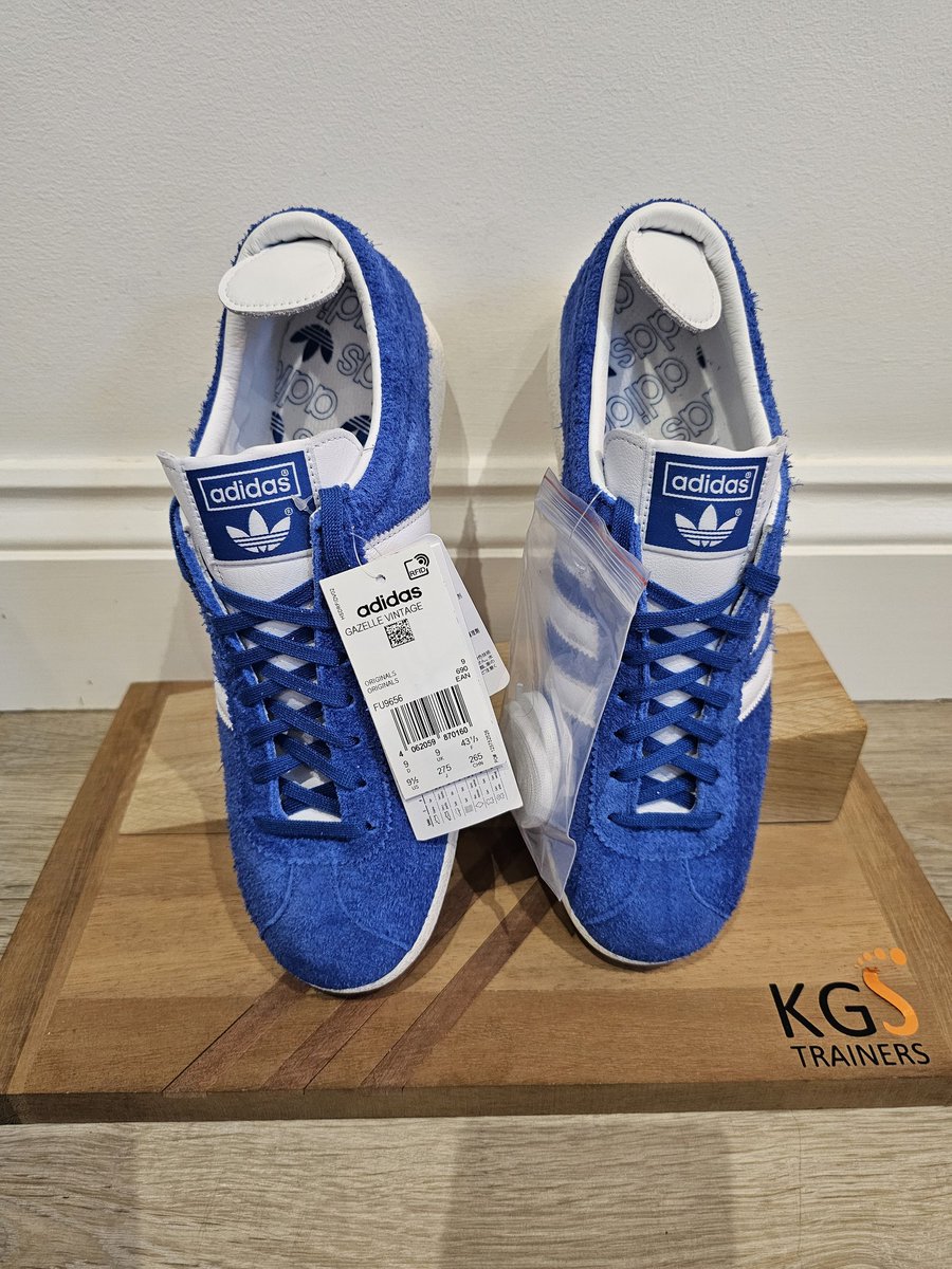 KGS Trainers tweet media