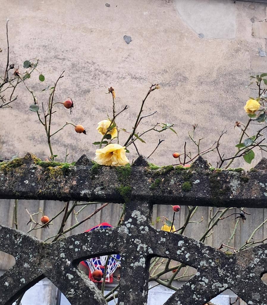 "Suis-je amoureux ? Oui, puisque j'attends.(...)L'identité fatale de l'amoureux n'est rien d'autre que : je suis celui qui attend."
(Roland Barthes)

Doux mercredi...😘
Petite vitesse  aujourd'hui 🐌...🐌
Prenez soin de vous 🙏💝