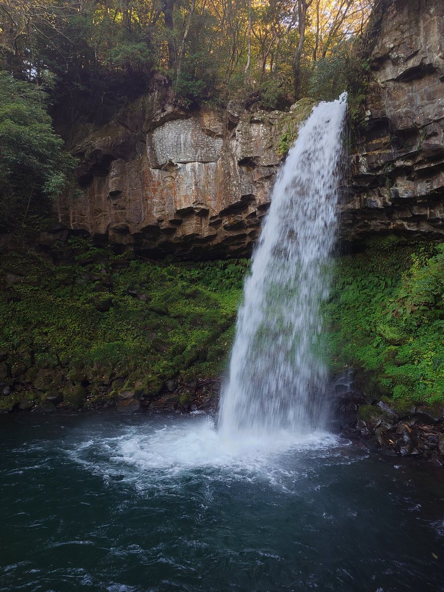 第4CP #萬城の滝
大分足にキてますが、マイナスイオンを補給してもうひと頑張り😄
今回は約80km付近で宿取ってますのであとふた登りくらい、かな。
#伊豆イチ #サイクルボール