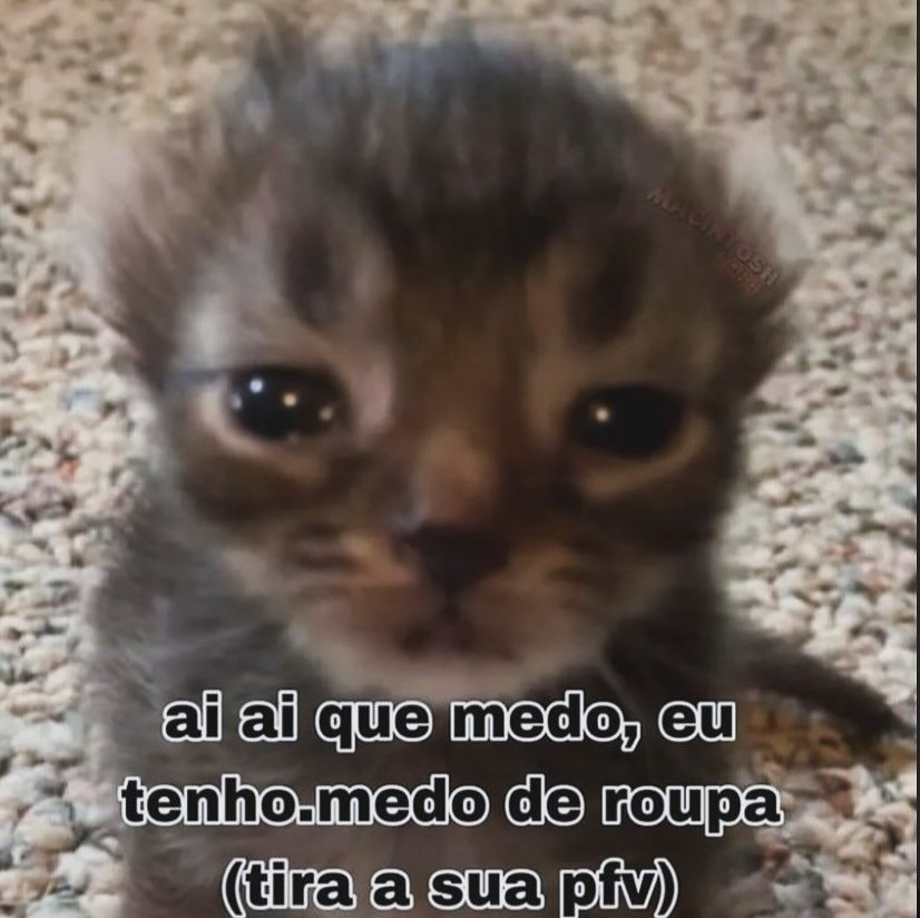 odeiootaco's tweet photo. https://t.co/wypjNy8CvU