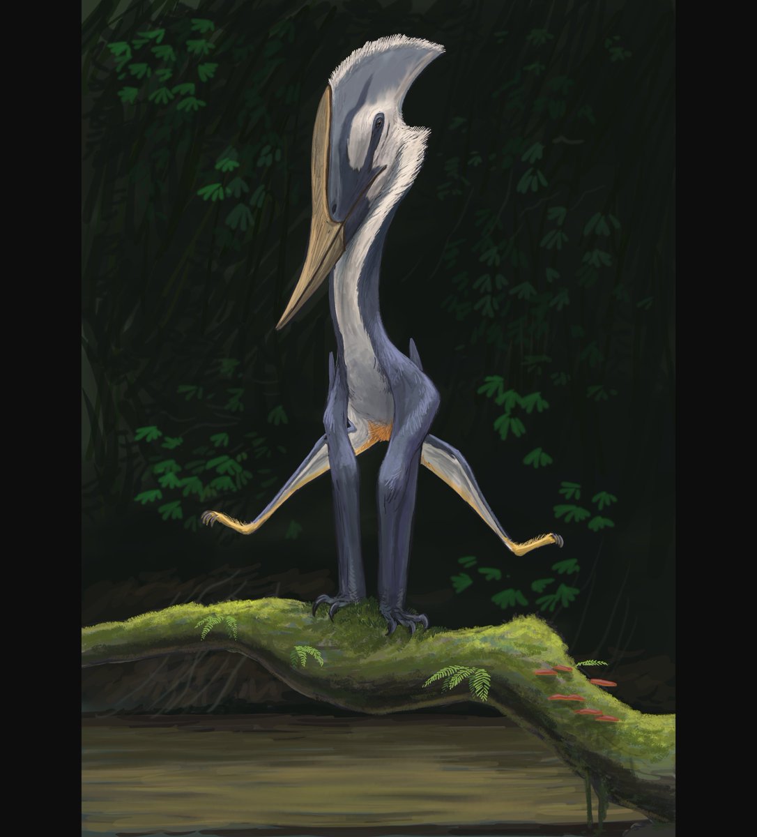 JoschuaKnuppe's tweet image. Use only one art to convince people to follow you