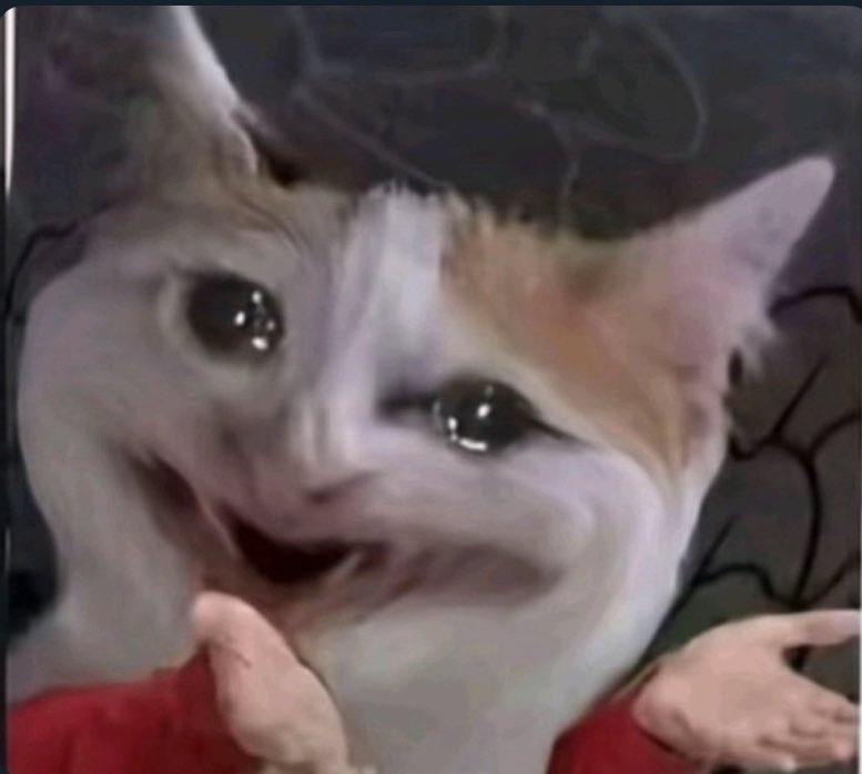 hintrovertt's tweet image. As Una no gree engage me 🥹