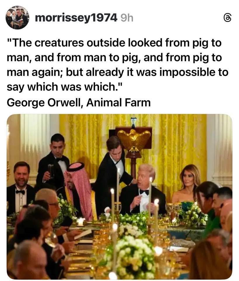 𝗧𝗼𝗺 𝗢𝘀𝗯𝗼𝗿𝗻 PhD, FRSA call-me-tomasso.bsky (@call_me_tomasso) on Twitter photo 