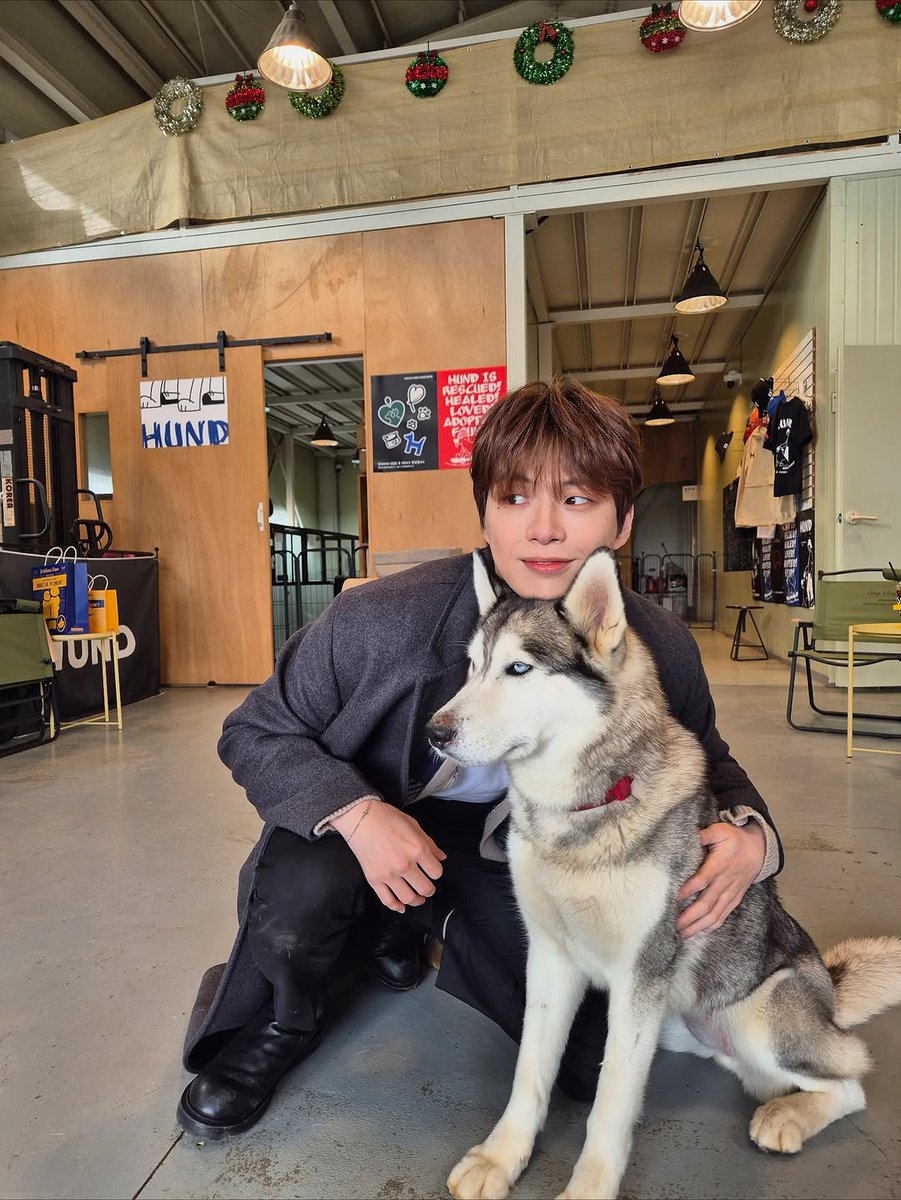 0216PARANOIA's tweet image. 저 강아지 그거자나 강다니엘 이럴때가잇고 저럴때가잇을때 그 저럴때 담당하는애