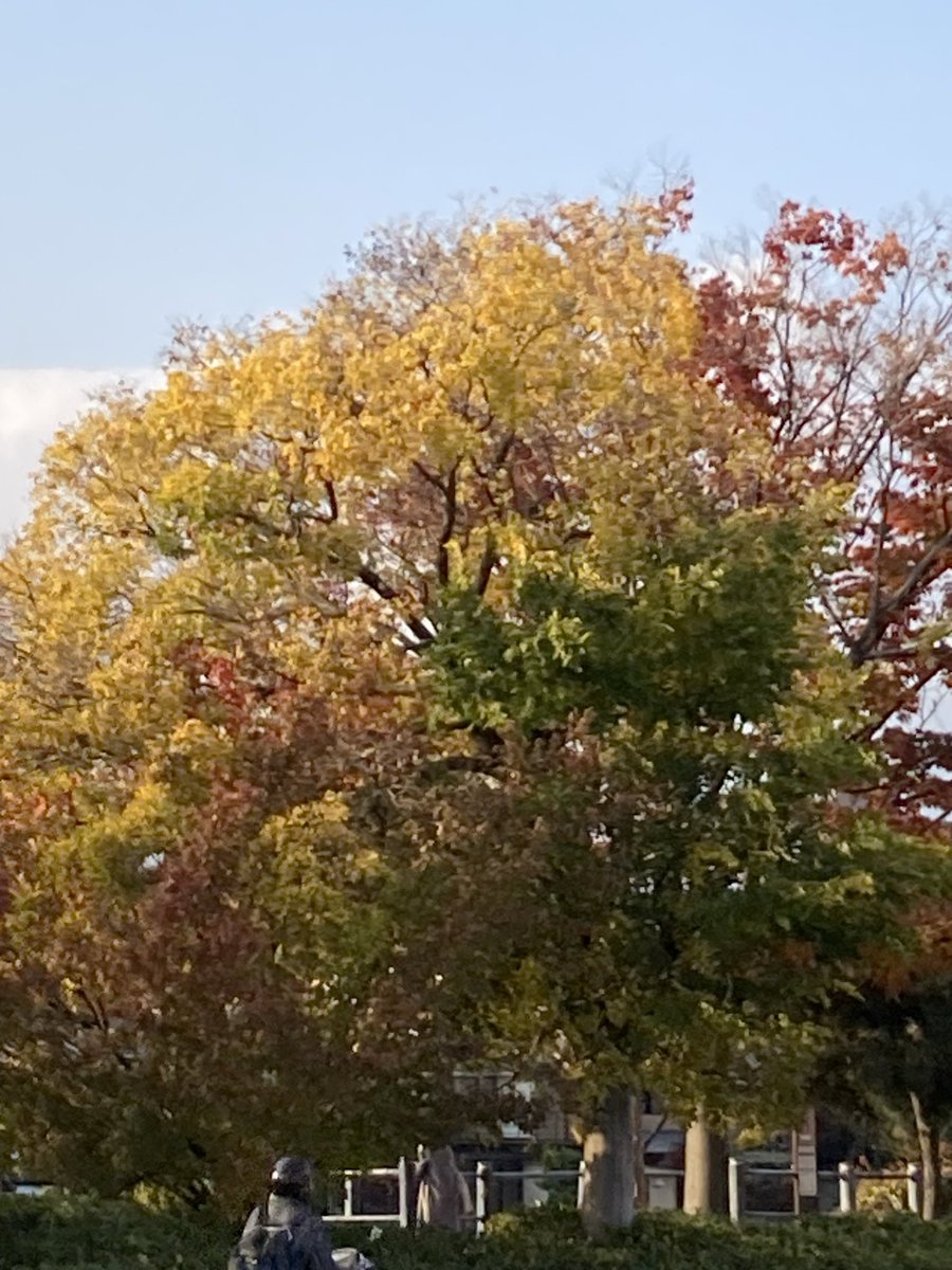 BlockheadT10B's tweet photo. 京阪七条駅にて紅葉 https://t.co/iTesWquIZT