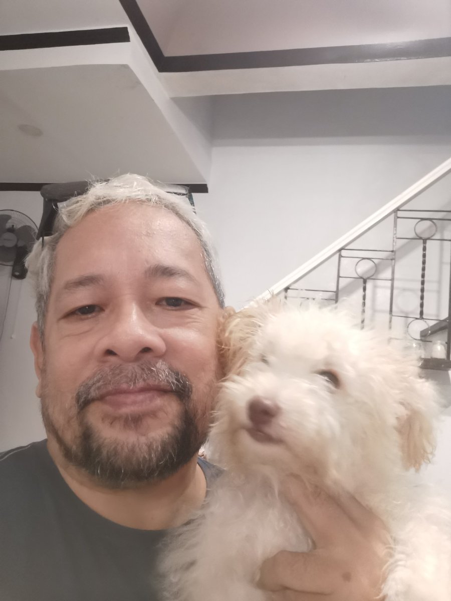 jojopollack's tweet photo. #Krypto #Tagaytay #NoShaveNovember https://t.co/qJb72CygRp