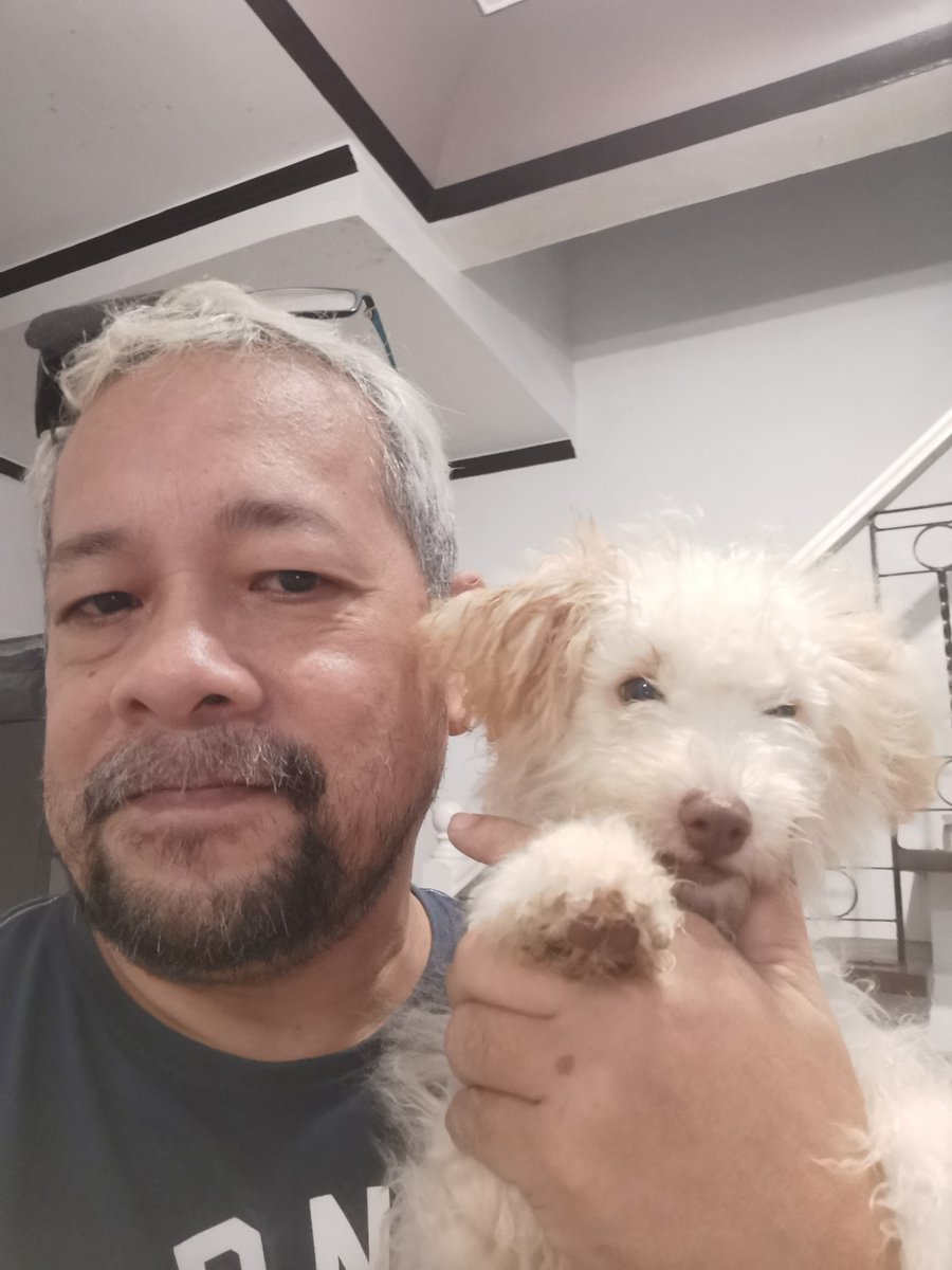 jojopollack's tweet photo. #Krypto #Tagaytay #NoShaveNovember https://t.co/qJb72CygRp