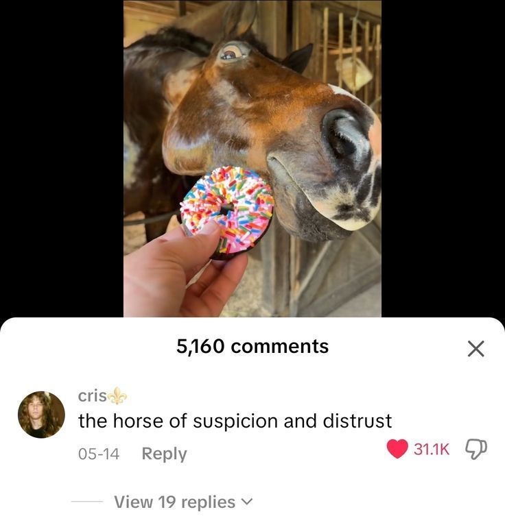 🕐HOURLY🕑 shitpost (@hourly_shitpost) on Twitter photo 