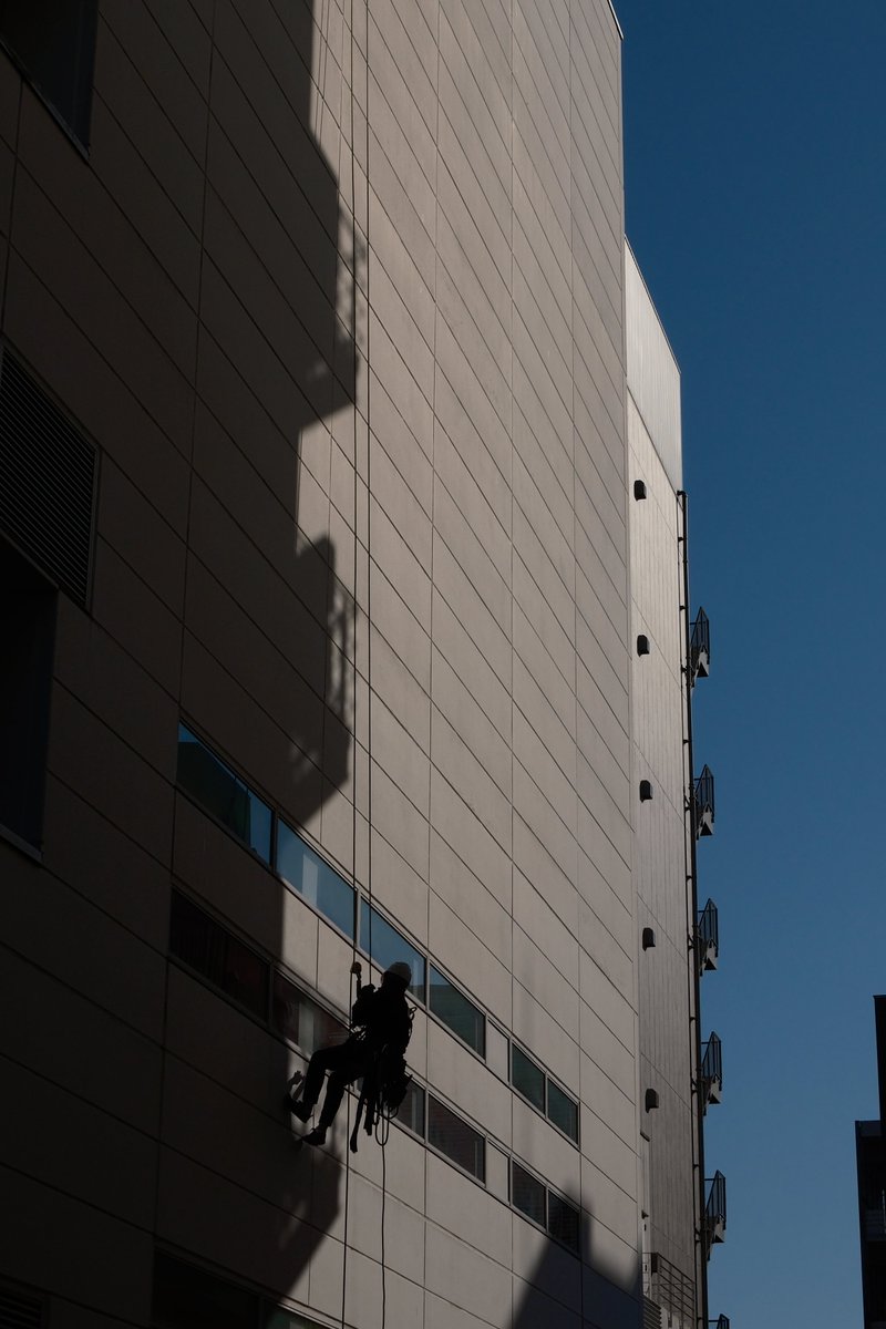 このスナップ写真、個人的に今年No1です