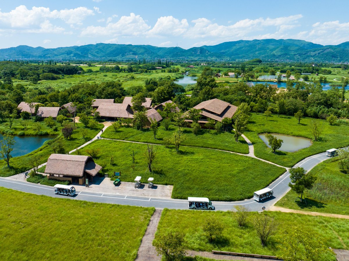 QiushiJournal's tweet image. Unlock the secrets of the origins of ancient Chinese #civilization! The archaeological ruins of Liangzhu (around 3300-2300 BC) in #Hangzhou, #Zhejiang Province, were designated as a @UNESCO World Heritage site in July 2019, providing concrete evidence of #China&apos;s 5,000-year…