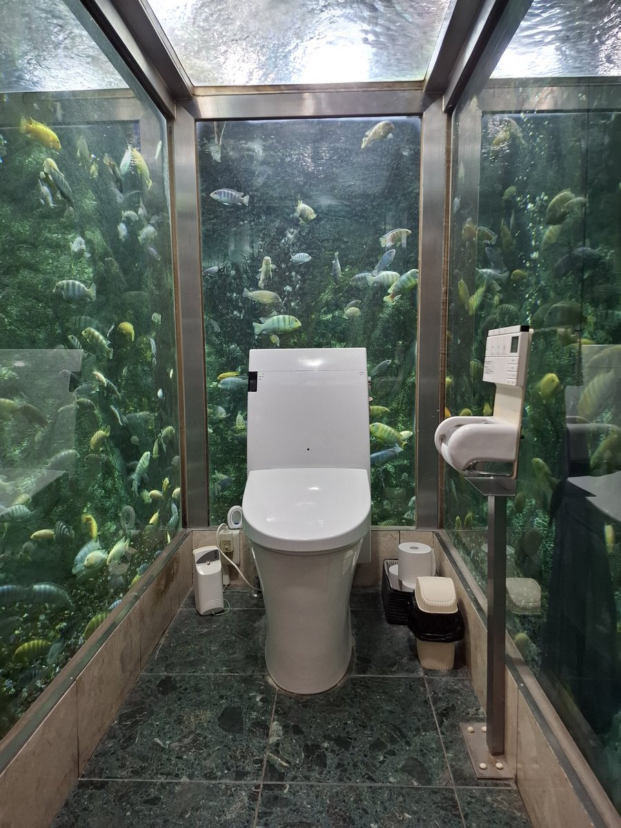 来たよ！！！すごいよ！！！
こんな見られて用を足したの初めて！！！🤣