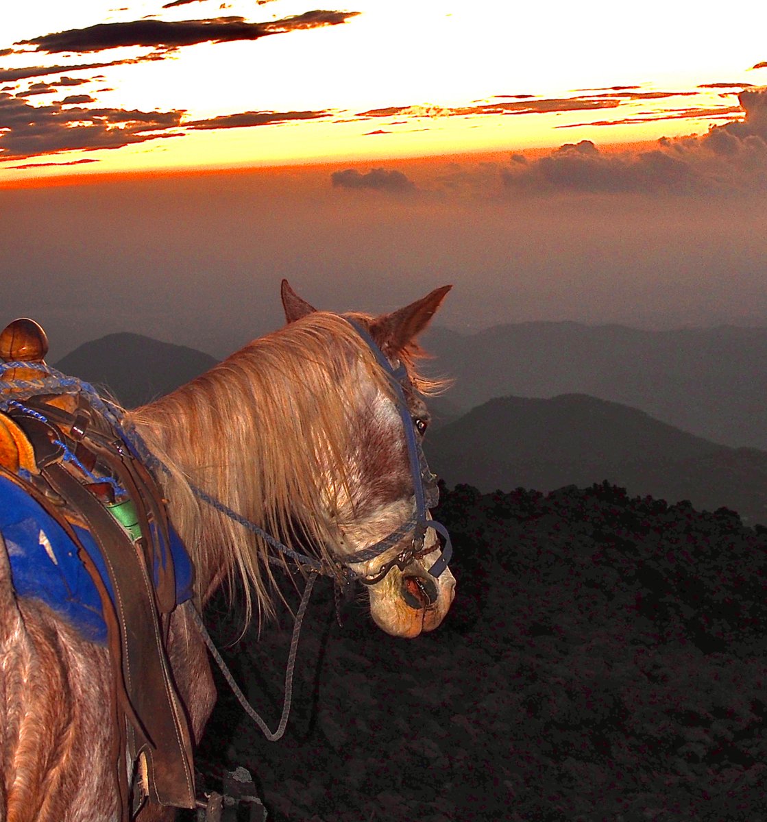 rs_parasite's tweet image. horseback in the mountains of Guatemala