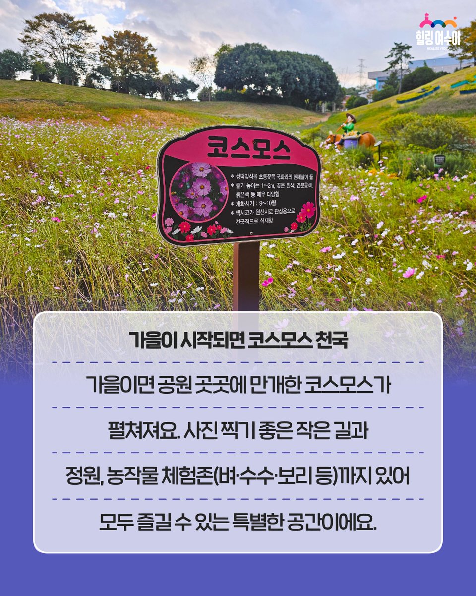 🐦 여수선사유적공원
가을 산책하기 좋은 곳 🍂
 여수선사유적공원 다녀왔어요!코스모스–핑크뮬리–넓은 잔디밭까지! 가을 분위기 제대로 느껴지는 힐링 스팟 🌸💗
산책·피크닉·가족 나들이 모두 추천!📍 전남 여수시 화장동 945-1

#여수여행 #여수선사유적공원 #여수가볼만한곳 #힐링여수야