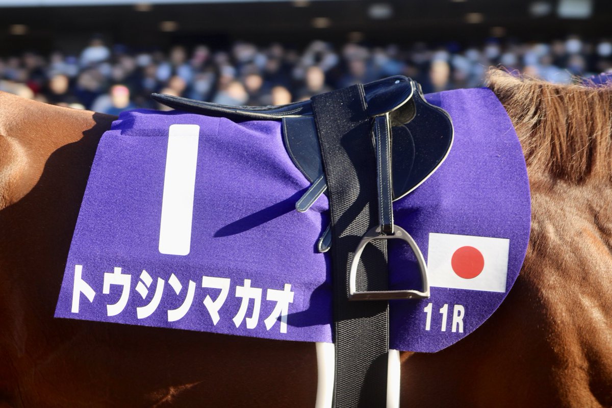 canonrii's tweet image. ⋆┈┈┈┈┈┈┈┈┈┈┈┈┈┈┈⋆

2025/11/23 京都競馬場
11R マイルチャンピオンシップ
トウシンマカオ×団野大成騎手

#トウシンマカオ
#マイルCS

⋆┈┈┈┈┈┈┈┈┈┈┈┈┈┈┈⋆