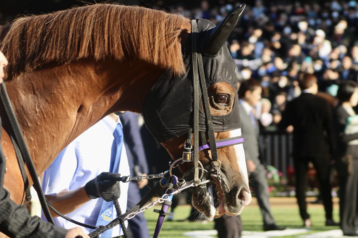 canonrii's tweet image. ⋆┈┈┈┈┈┈┈┈┈┈┈┈┈┈┈⋆

2025/11/23 京都競馬場
11R マイルチャンピオンシップ
トウシンマカオ×団野大成騎手

#トウシンマカオ
#マイルCS

⋆┈┈┈┈┈┈┈┈┈┈┈┈┈┈┈⋆