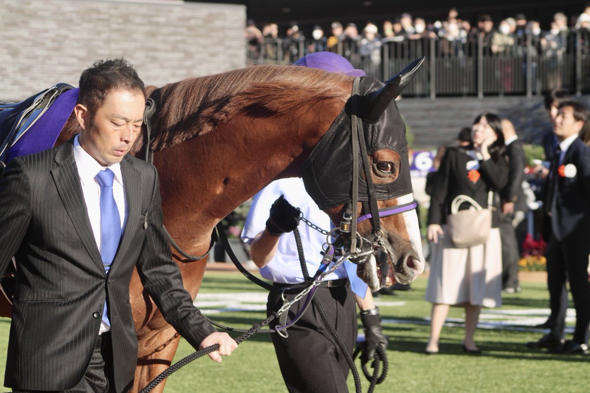 canonrii's tweet image. ⋆┈┈┈┈┈┈┈┈┈┈┈┈┈┈┈⋆

2025/11/23 京都競馬場
11R マイルチャンピオンシップ
トウシンマカオ×団野大成騎手

#トウシンマカオ
#マイルCS

⋆┈┈┈┈┈┈┈┈┈┈┈┈┈┈┈⋆