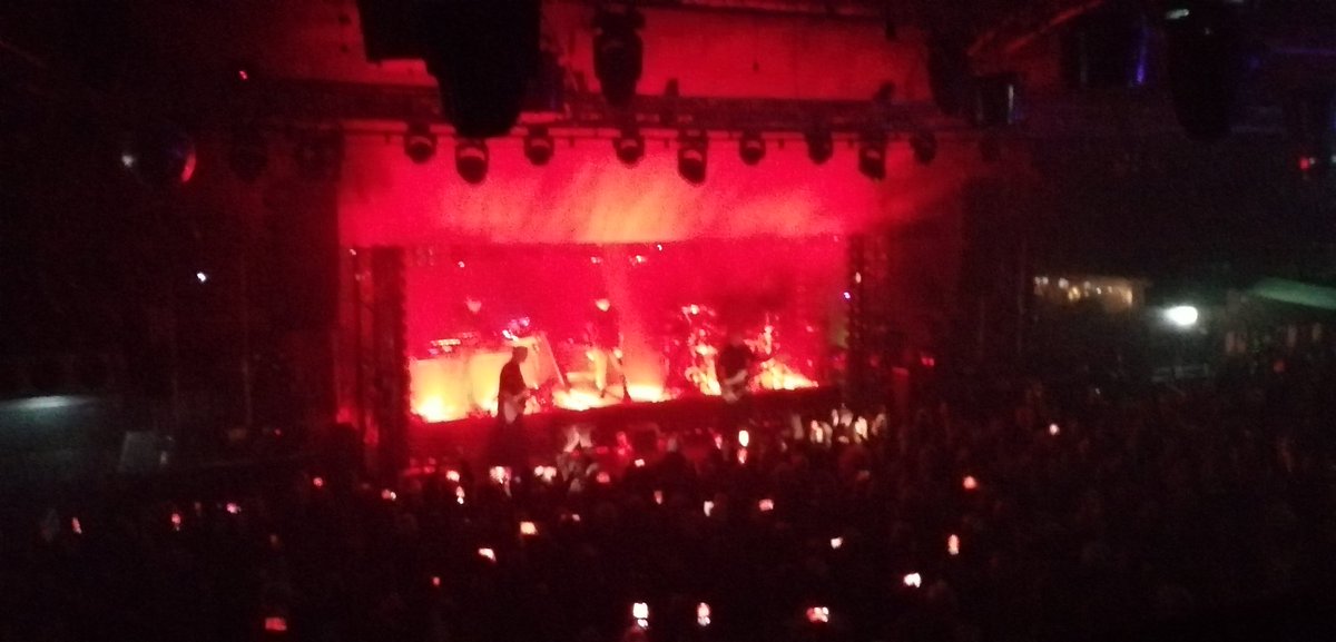 🎼 𝕊𝕋𝔼𝕍𝔼™ tweet media