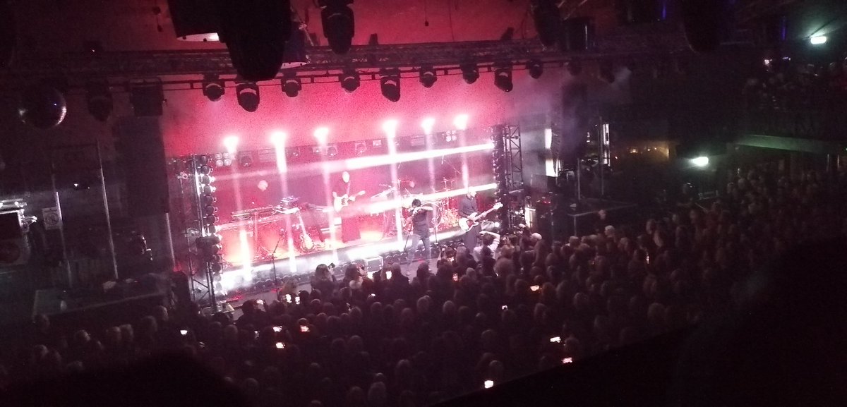 🎼 𝕊𝕋𝔼𝕍𝔼™ tweet media