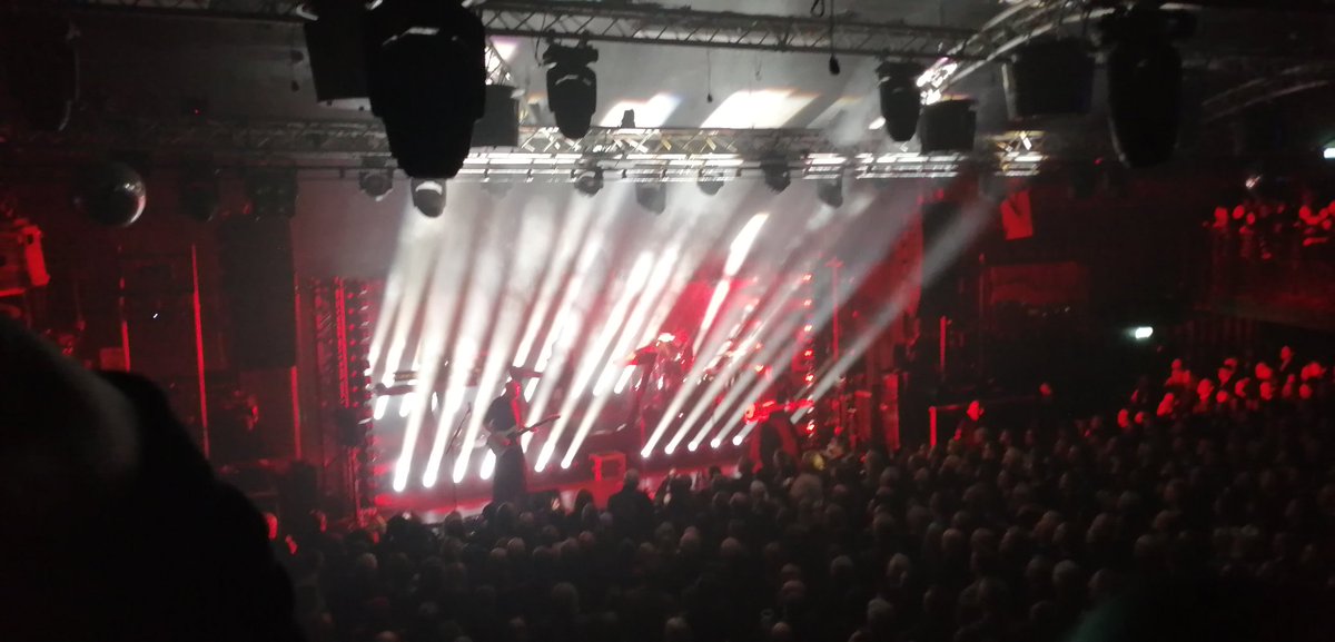 🎼 𝕊𝕋𝔼𝕍𝔼™ tweet media