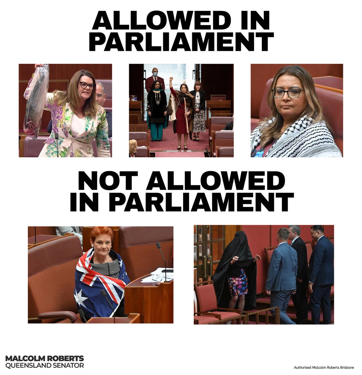MRobertsQLD's tweet image. Pauline Hanson wore a burqa in protest and was suspended—yet other Senators use props without consequence. 

When rules apply differently depending on who you are, that’s not fairness; it’s a two-tier system.