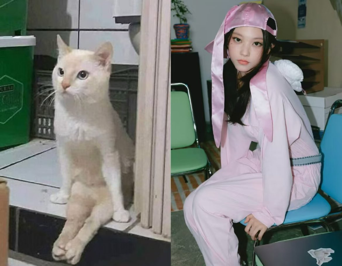 Cake🍀 (@cakedegg) on Twitter photo 