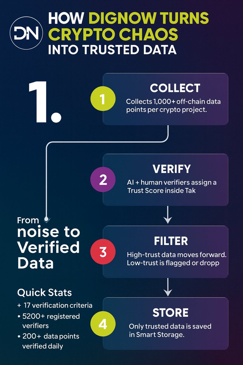 DigNow.io tweet media