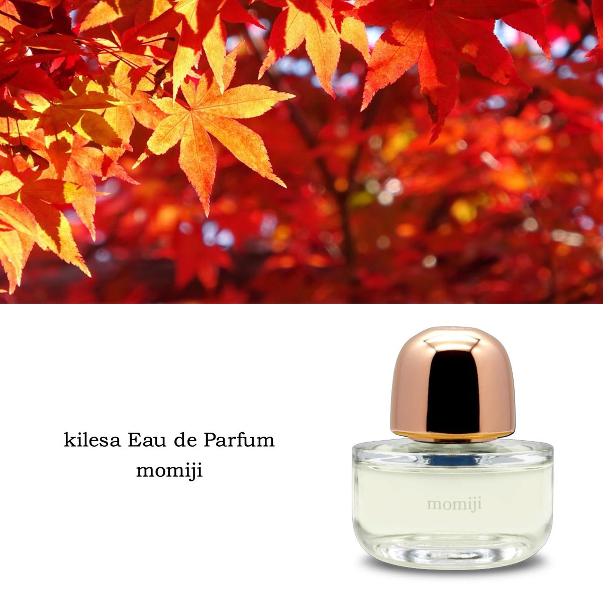 KOHSHI <香師> clergy 50 ml 美品 KOHSHI <香師> clergy 50 ml 美品 KOHSHI キレーサオードパルファム