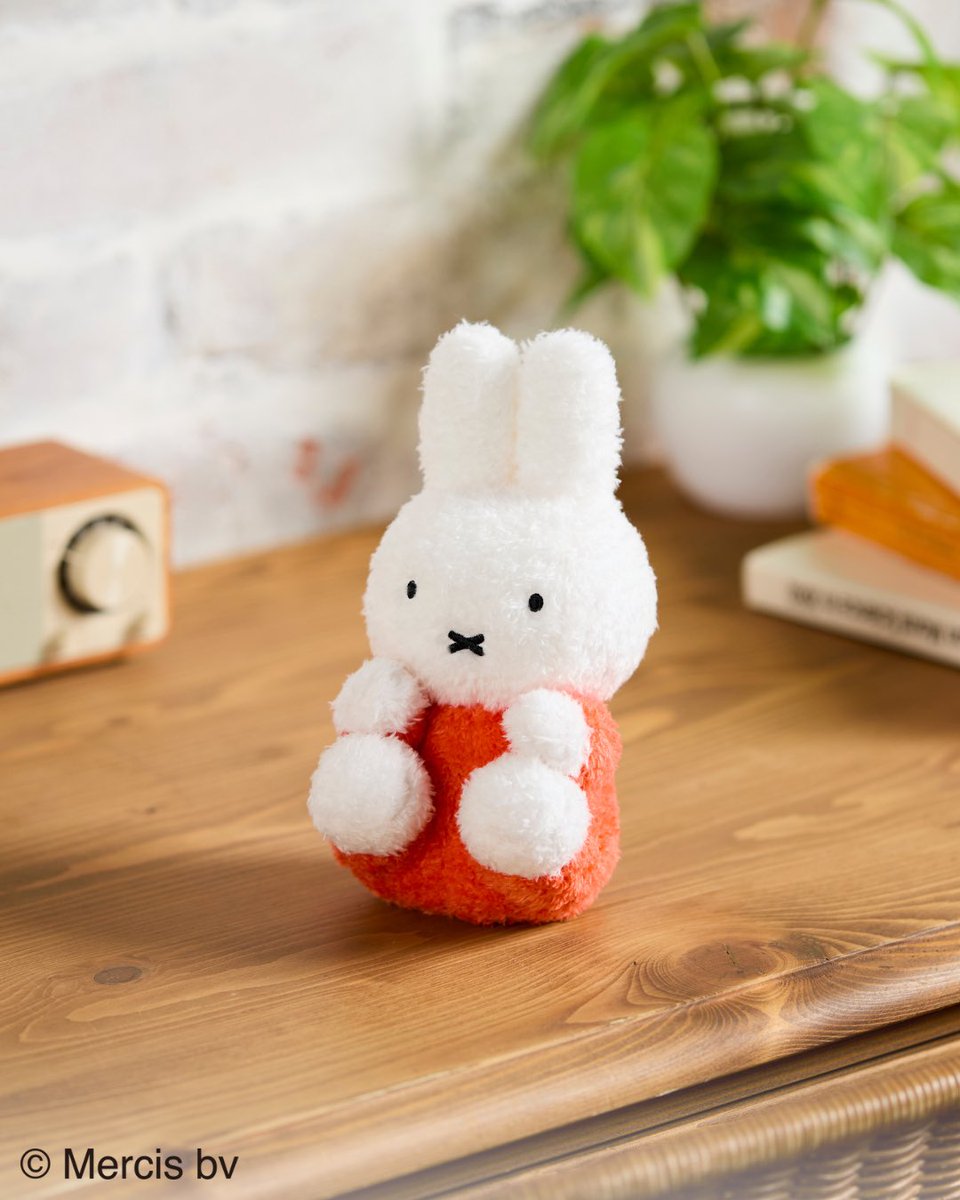 セキグチ公式オンラインショップ (@sekiguchi1918) / Posts / X