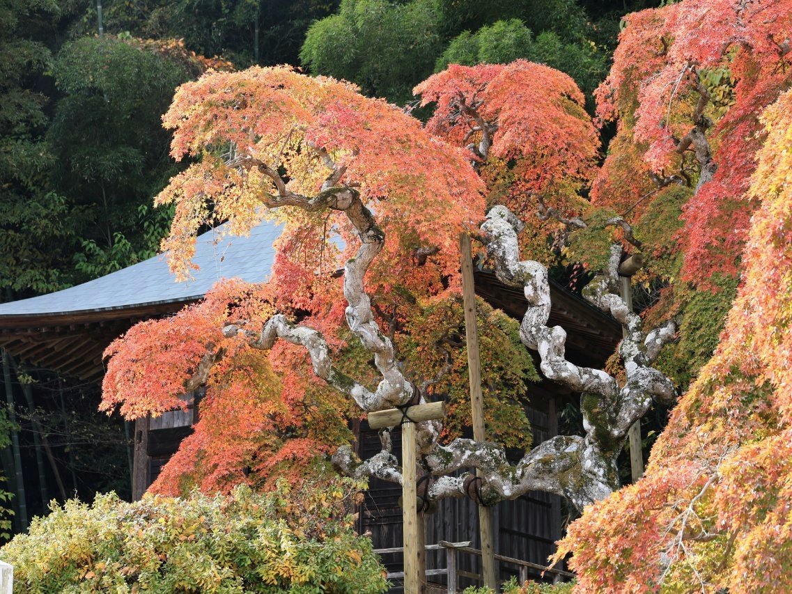 やまさん (@yama30629x) / Posts / X