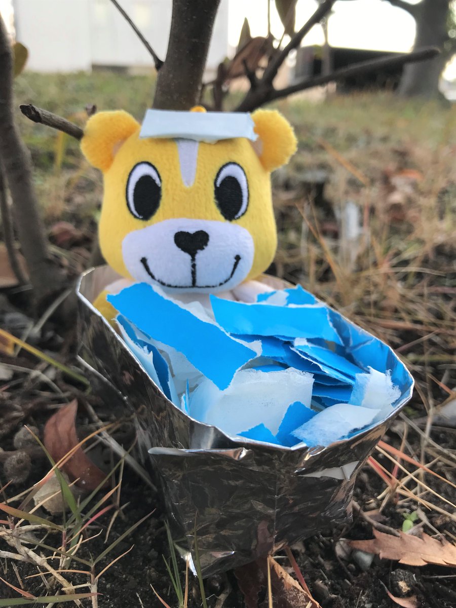 てっと君 (@tetto_kun) / Posts / X