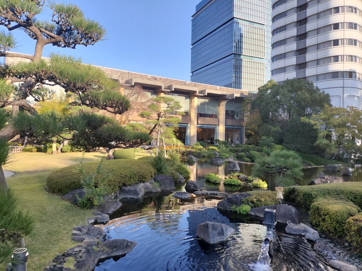 Investman Yokotani (@155Jojojojo) / Posts / X