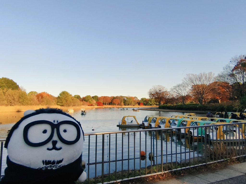 もも🏆 (@monochrome725) / Posts / X