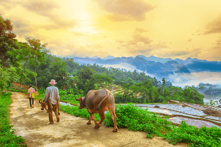 JungleBoss73's tweet photo. Add Pu Luong in your Vietnam trip plan for 2026 new year.
thank us later ;)

https://t.co/D2gIGGPACc https://t.co/SfFmAMJrmi