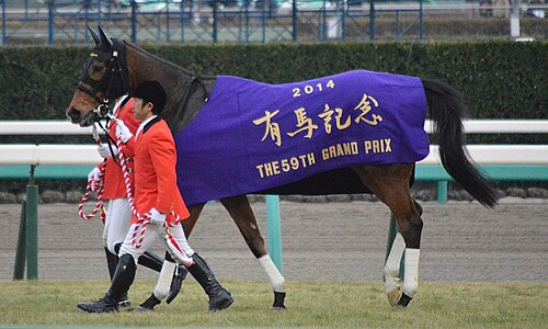 ジェンティルドンナ、死去

今年に入り体調を崩しがちになり、7月に繁殖牝馬を引退。その後症状が悪化し昨日息を引き取った

亡くなった日は、奇しくも1度目のジャパンC優勝と同じ11月25日

ノーザンホースパークでは11月29日(土)～来年1月12日(月)まで献花台を設置

ご冥福をお祈りいたします