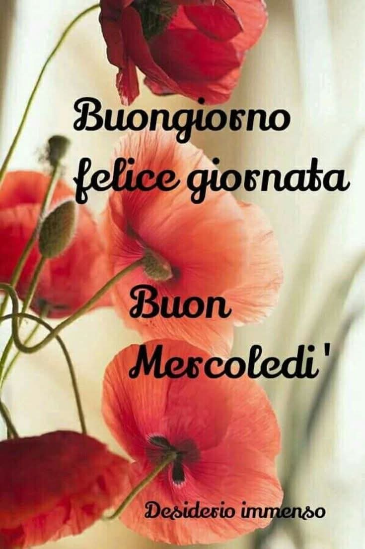 Marianna tweet media