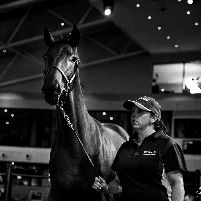 Hunter Thoroughbreds tweet media